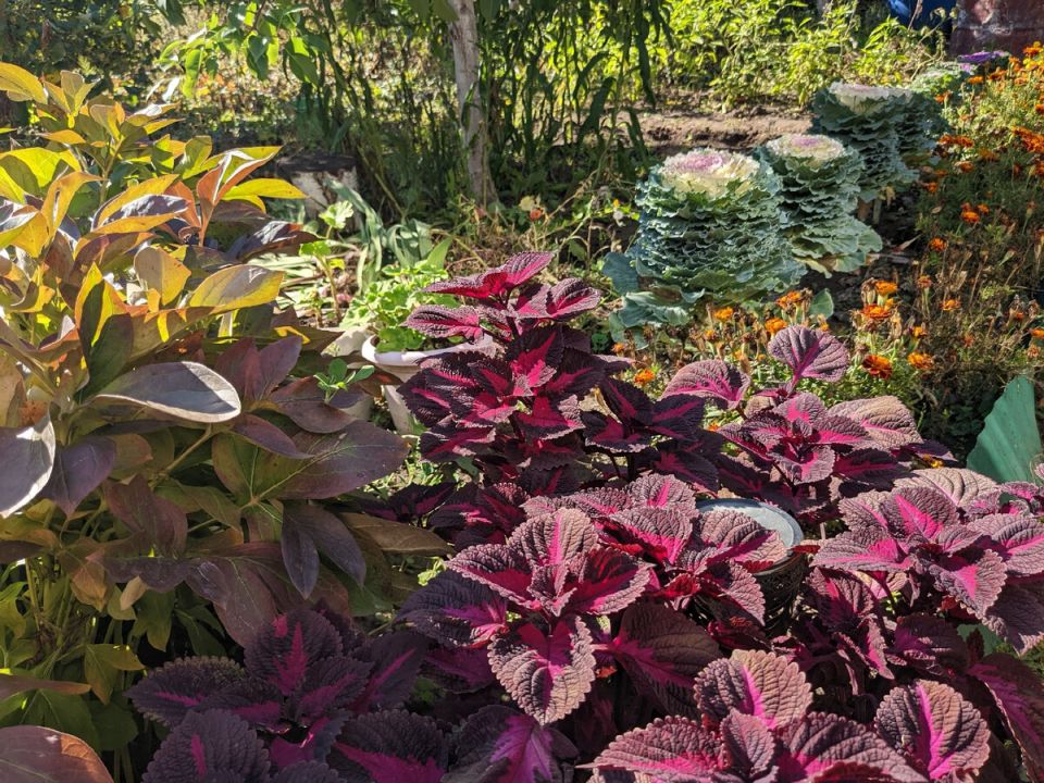 �������: ��� ��������� ��������� � ������� ������ ������ ����������