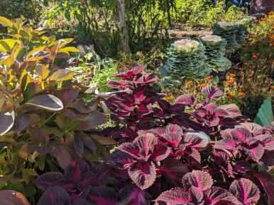 �������: ��� ��������� ��������� � ������� ������ ������ ����������