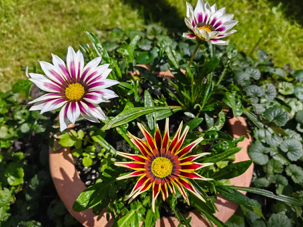 Неожиданные приключения на двух колесах