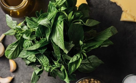 ��� ������������ ������� �������� �������� ���� �� ��������