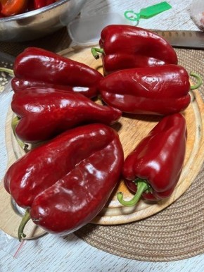 ����� ���� ����: ������������ ���� � ������������ �������