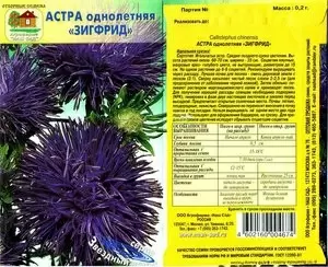 Выращивание астров: ваш гайд по домашнему цветоводству