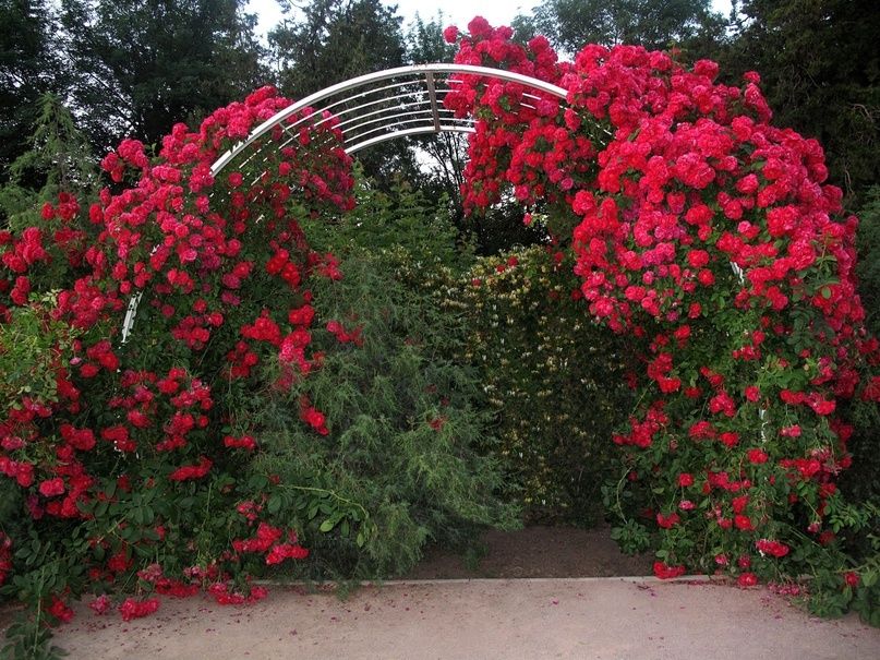 ��� ������� ���������� ��� � ����� �� ��������� ���: ������ �� ������ � �����