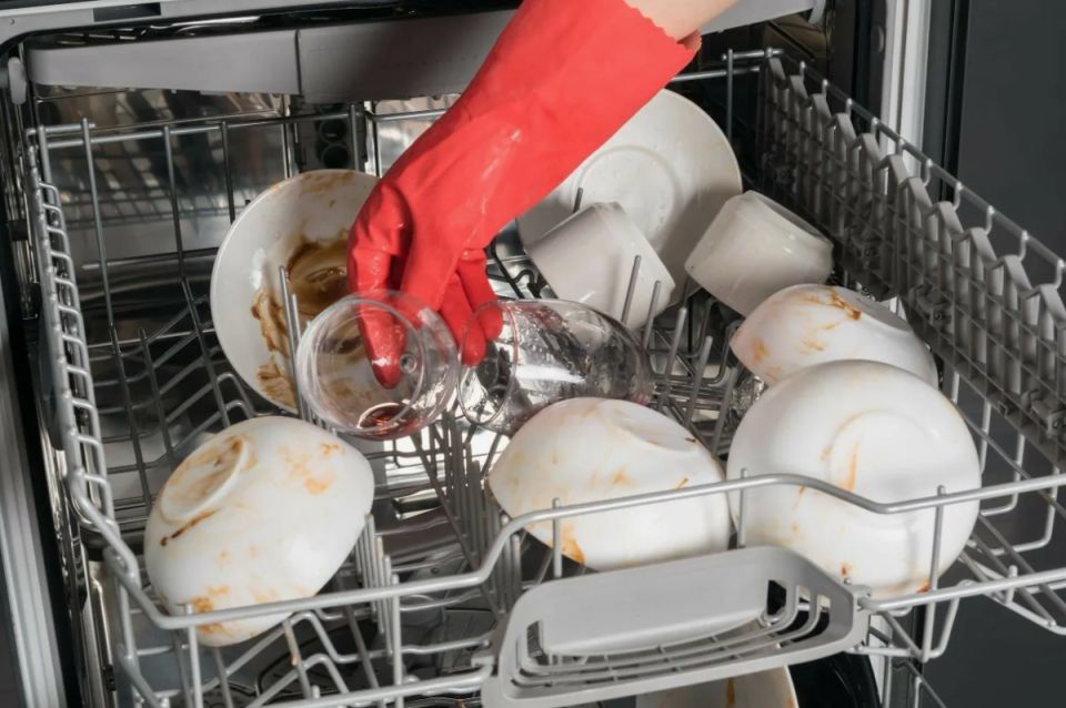 ������ ���� ����������� �� �����������: �������� ������� � �������