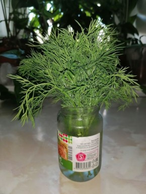 Как сохранить свежесть продуктов: лайфхаки и распространенные ошибки