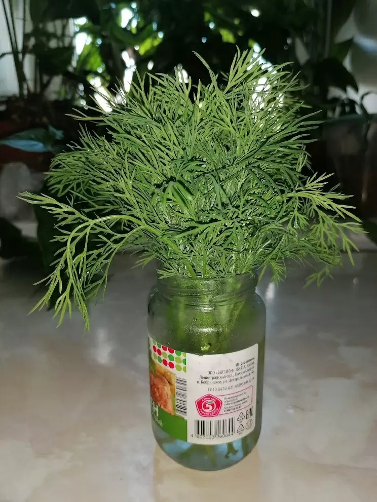 Как сохранить свежесть продуктов: лайфхаки и распространенные ошибки