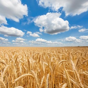 ������ ����� ������� ��� ������������� �������: ������������� ����� ����