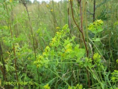 �������������� ����� ������� �������