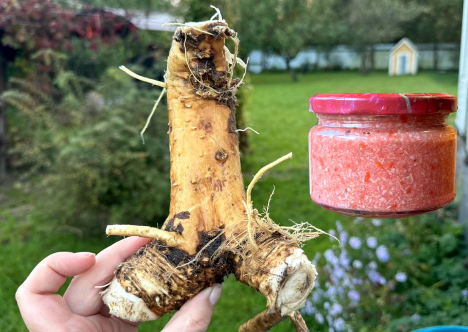 ��������: ������� ��� ��� ������ ��������