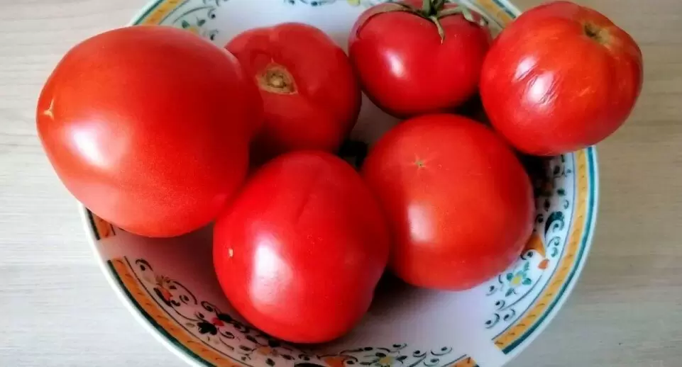 Зимние помидоры: стоит ли от них отказываться?