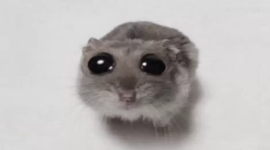 Секреты здорового зрения: продукты, которые защитят ваши глаза