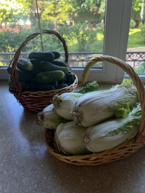 ��� ��������� ������: ������� ����� � �������� ��� ��������