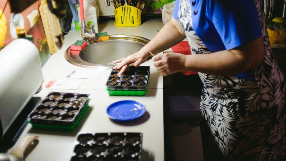 ��� ������ �����: ������� � ������ ������� �����������