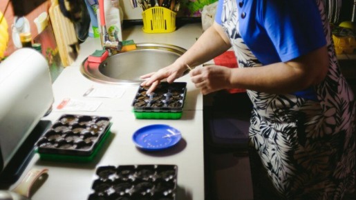 ��� ������ �����: ������� � ������ ������� �����������