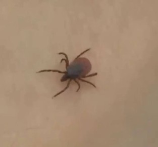 � ��������� ������� ������������ ������ � ���� ���� ������ ��������� �������� �����������