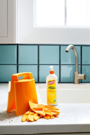 Как выбрать идеальные моющие средства для сантехники: кислота или щелочь?