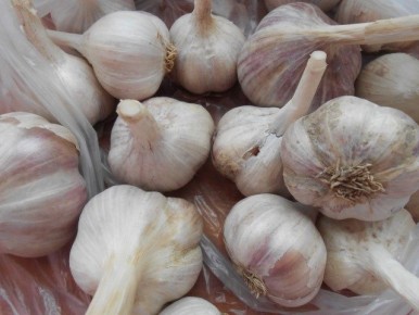 ��� ��������� ������������� ������ ������: ������� ��������� ������