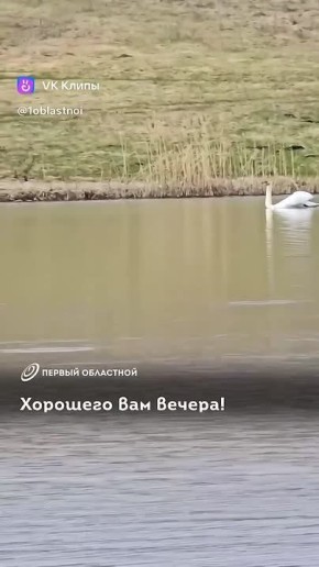 �������������� ����� ���� ��� ��������� � ���������� ������