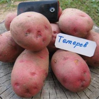 ��������� �������: ��������� ��������� ����������� � �����