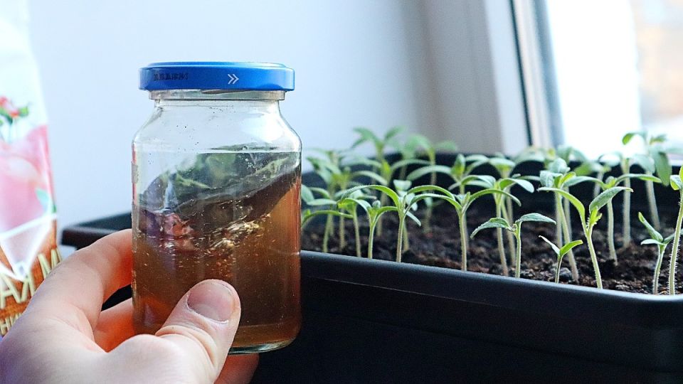 ��� ���������� ����� ������� ��������� � ����� ������ �� � ��������