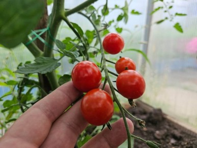 ���� ������������ ����� ��� ���������� ����� � ���������� ����