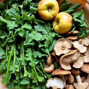 ������� �������� ����� ������, ����� � ������: ������� ������ ��� ������ �������