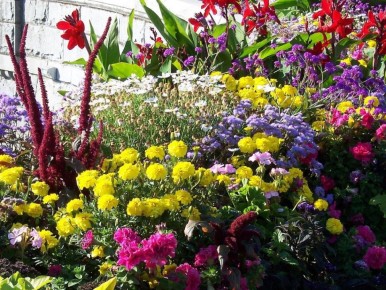 ��������� ������ ��������� ������� �������� ��� ��� �������� ������