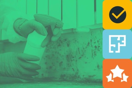 Как избежать плесени в вашем доме: причины появления и риски для здоровья