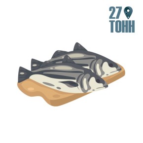 ��� ������� ������ ����: ������ ���������