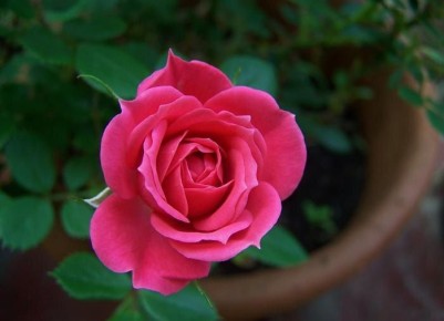 ��� ������ ���� �� ����: ������� �������� �������