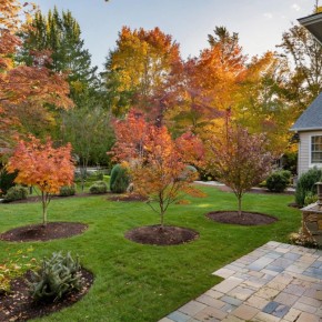 Клен в саду: красота и сложности, о которых стоит знать