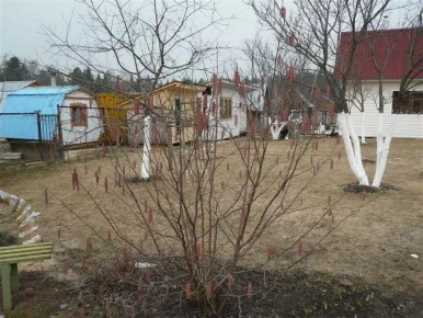 ���������� ������� �� ����: ��� ����� ������ ������