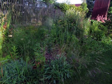 ������ ����������� �� ������� �� ��������: ����������� ����������