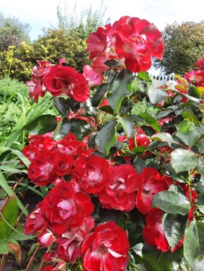 ���� � ���������� ������: ���������� � Patrick Poivre d'Arvor