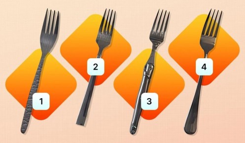 ��������������� ����: ��� � ��� ��������� ���� ������������ �����?