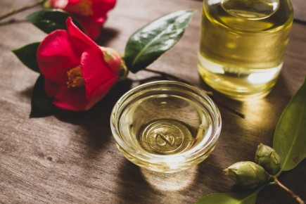 ��������� ��������� �����: ����� ������� � ��������