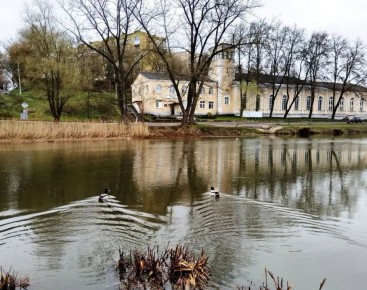 � ���� ��������� �����������