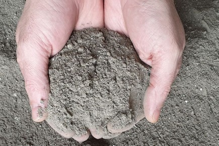 ��� ������������ ��������� ���� ������: ����������� ����� � ������ ��� �����������