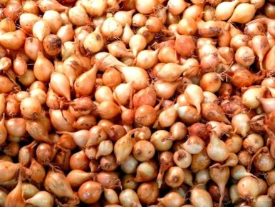 ��� ��������� ����������� ����� � ������� ����