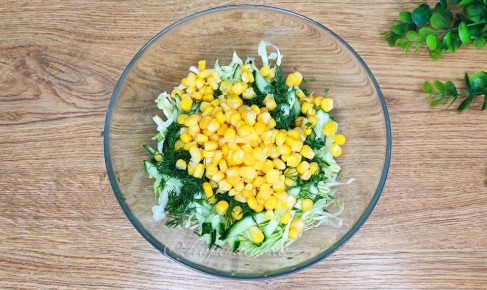 ����� � ����������, ������� ������� ���� ����� � ������