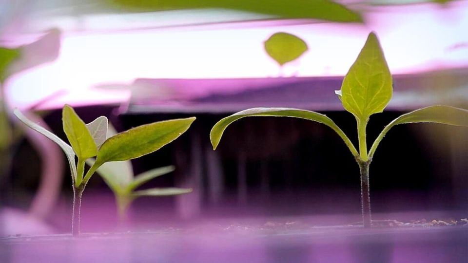 ������ ������ ��� ��������� ������ ������� � 2026 ����