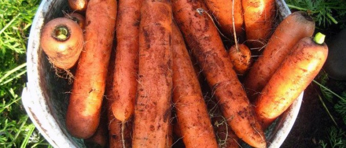 ����������� ������ ��� ���������: ������� ��������� �������