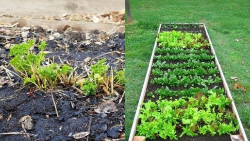 ��� ������� ������� ������� ������� �������� ������ � ��� ����