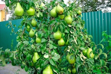 ����� ������: ����� ������� ��������� � ������������� �������