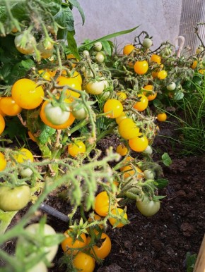 ������ � ������: ��� ����������� ����� ����� ������ ���������