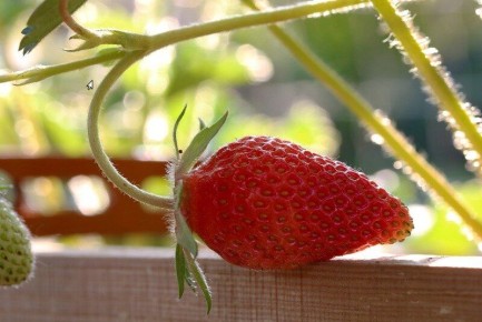 ����� ������ � ������ �� ����� �������� ������ ��������