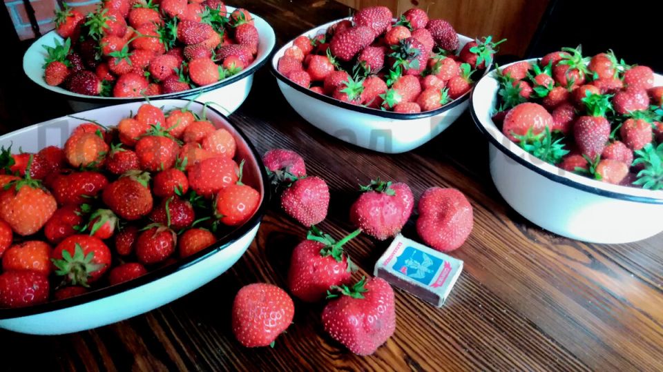 ������� ���������: ����� �� ��� �� ����� ����?