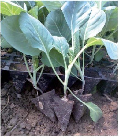 ��� ��������� ��������� ������� ������� ��� ������� ������