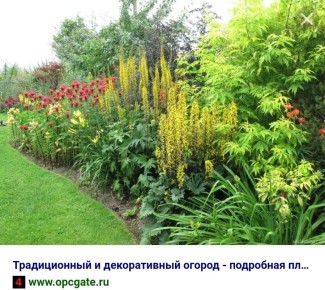 ���������� ����������: ��������� ����������� ��� ��������� ����