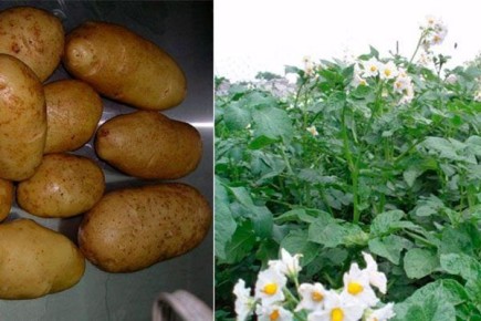 ��������� �����: ������� ������� ���� ���� � 2025 ����